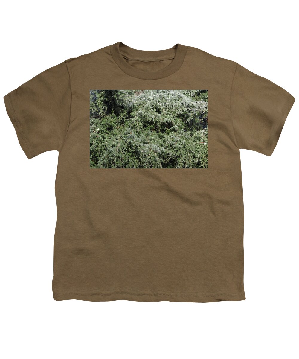 Ice Youth T-Shirt featuring the photograph Ice On Eastern Red Cedar by Daniel Reed