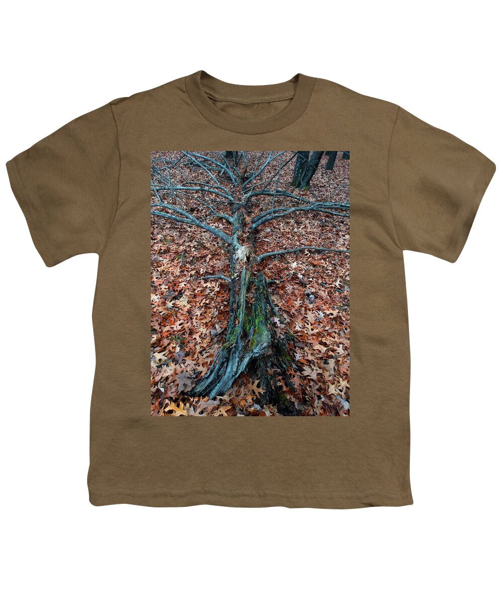 Tree Youth T-Shirt featuring the photograph If a Tree Falls in the Woods by David T Wilkinson