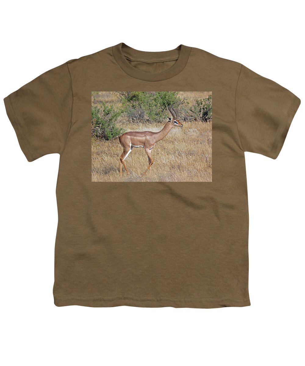 Impala Youth T-Shirt featuring the photograph Impala by Tony Murtagh