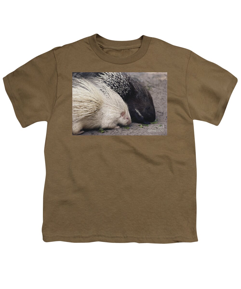Nature Youth T-Shirt featuring the photograph Indian-crested Porcupines Normal by Tom McHugh