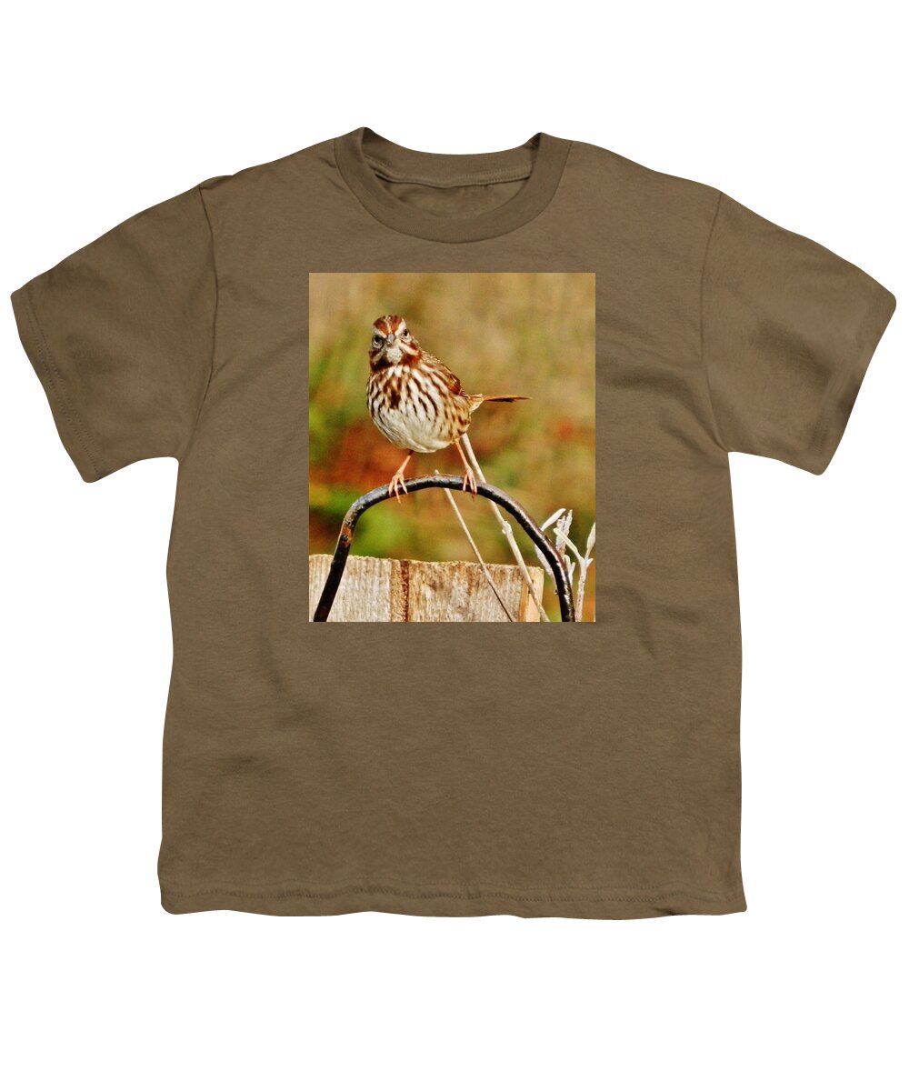 Sparrow Youth T-Shirt featuring the photograph Is That You? by VLee Watson