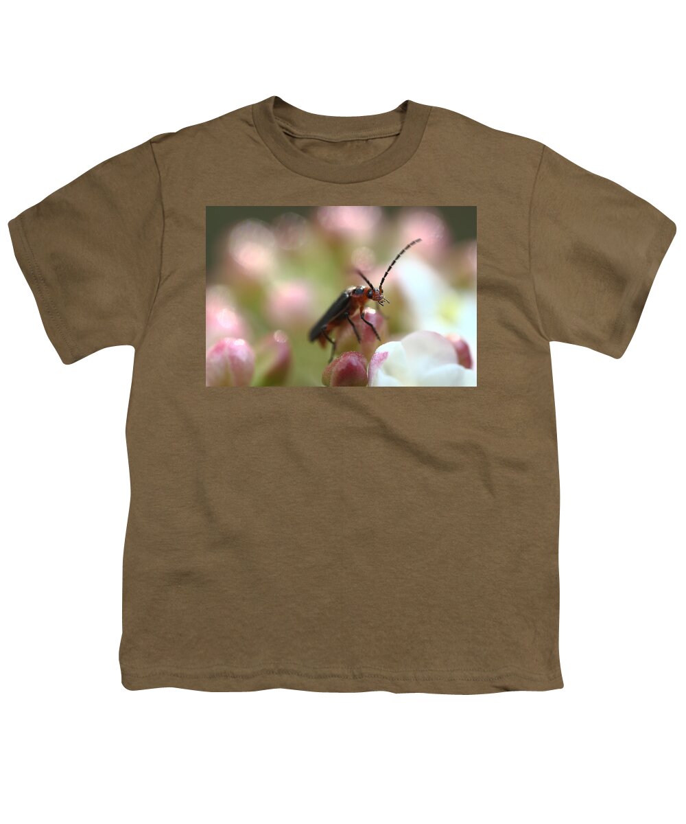 Insect Youth T-Shirt featuring the photograph It's A Bugs World by Michael Eingle