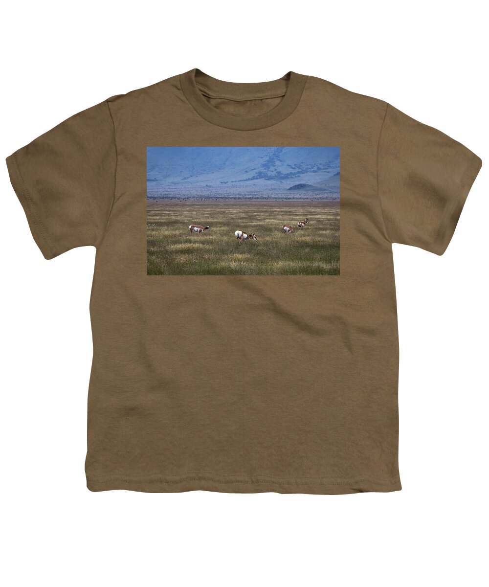 Pronghorn Youth T-Shirt featuring the photograph Just Hanging Out by Renny Spencer