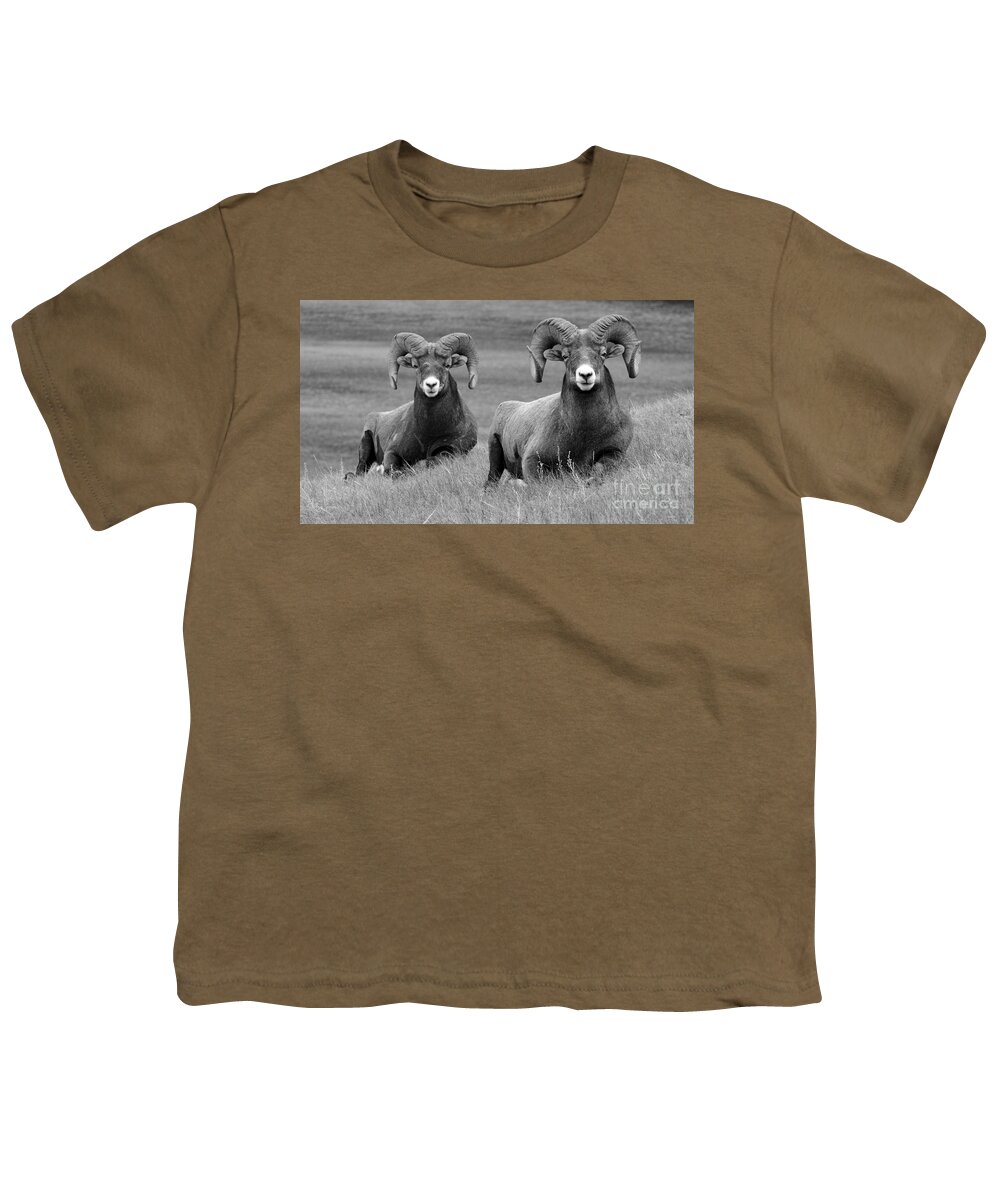 Wildlife Youth T-Shirt featuring the photograph Just Hanging Out by Vivian Christopher
