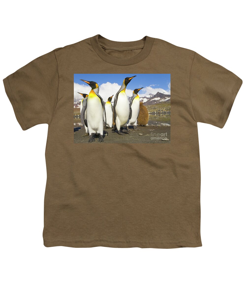00345347 Youth T-Shirt featuring the photograph King Penguins At St Andrews Bay by Yva Momatiuk and John Eastcott