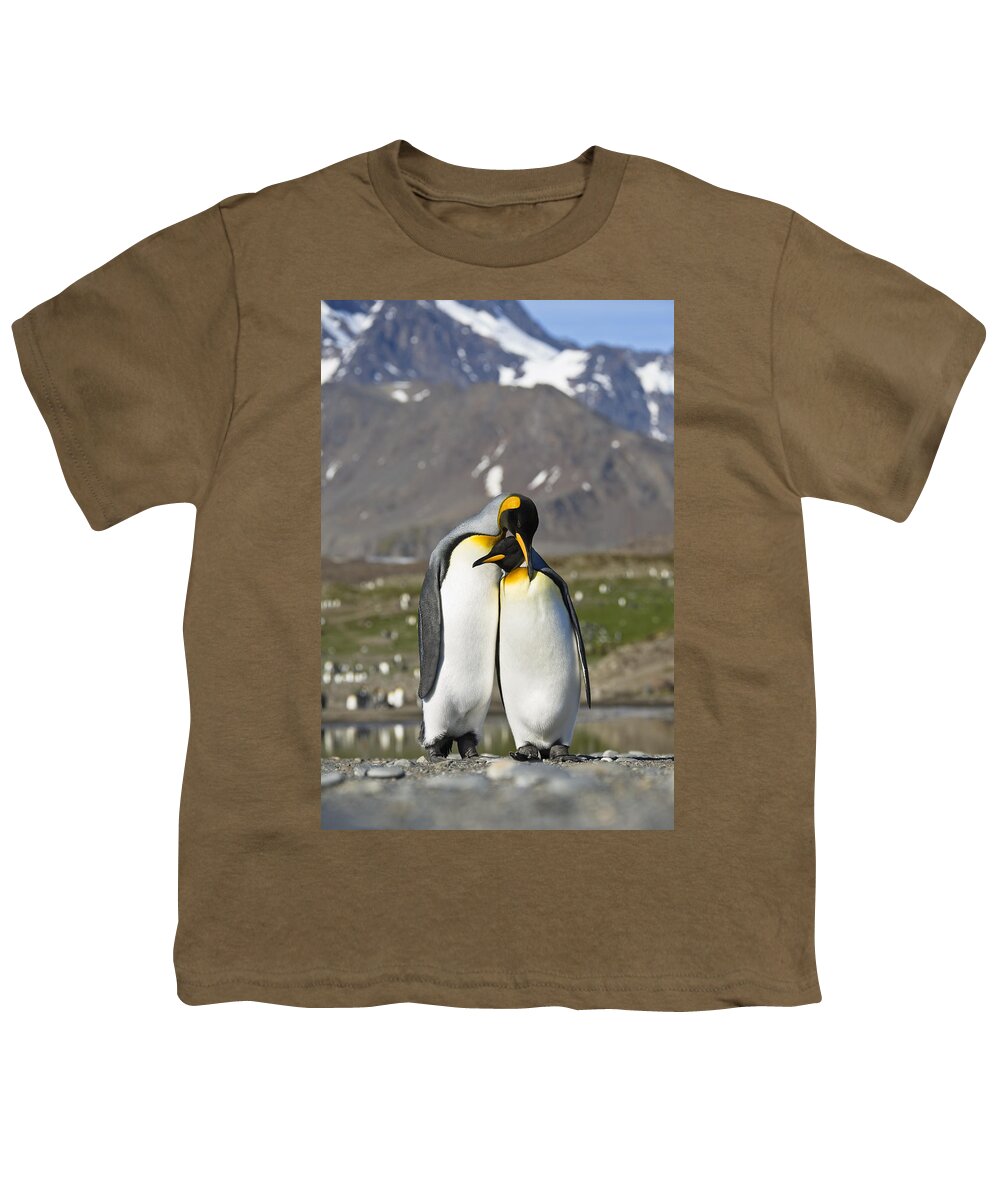 Feb0514 Youth T-Shirt featuring the photograph King Penguins Courting St Andrews Bay by Konrad Wothe