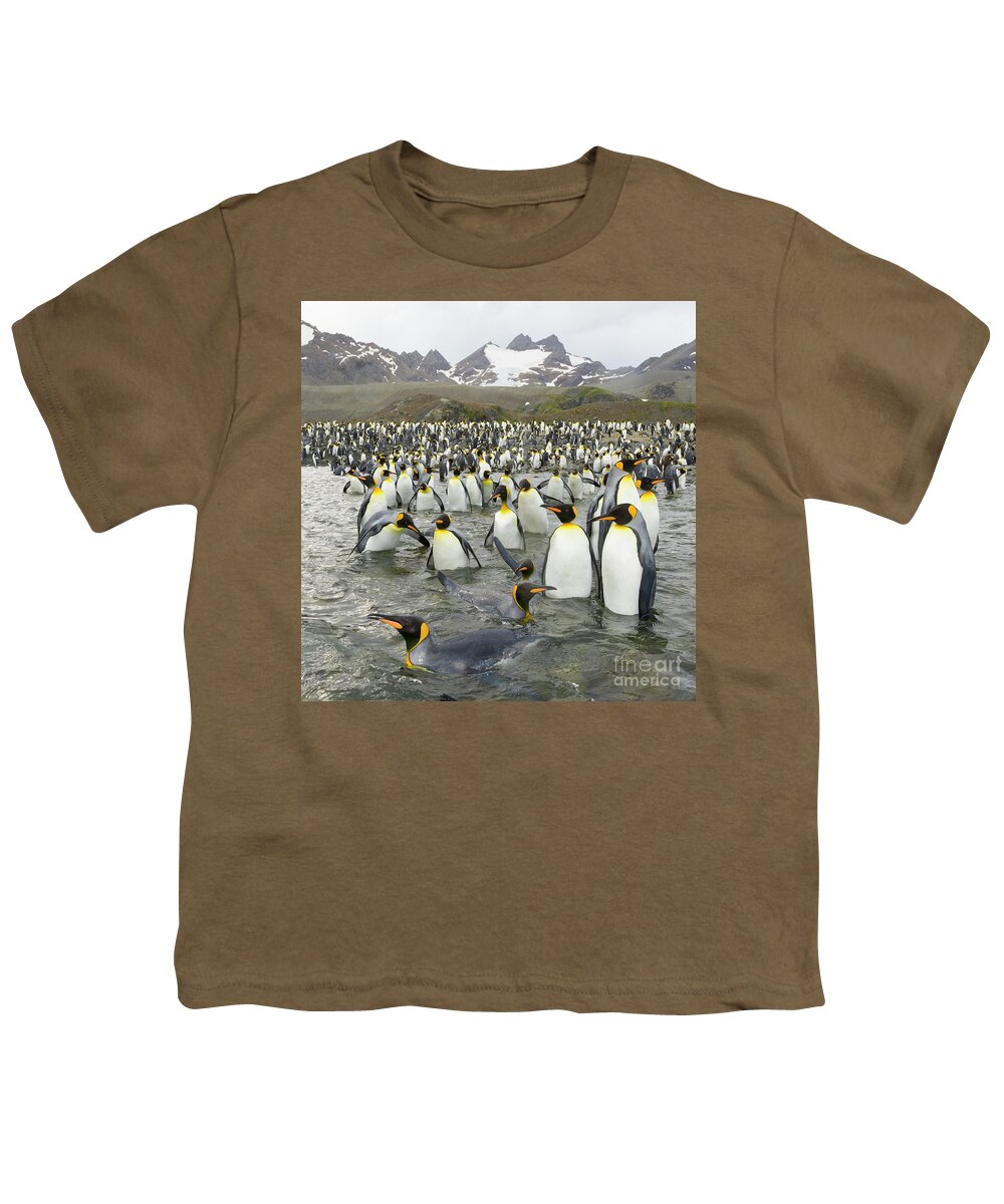 00345361 Youth T-Shirt featuring the photograph King Penguins at Gold Harbour by Yva Momatiuk John Eastcott