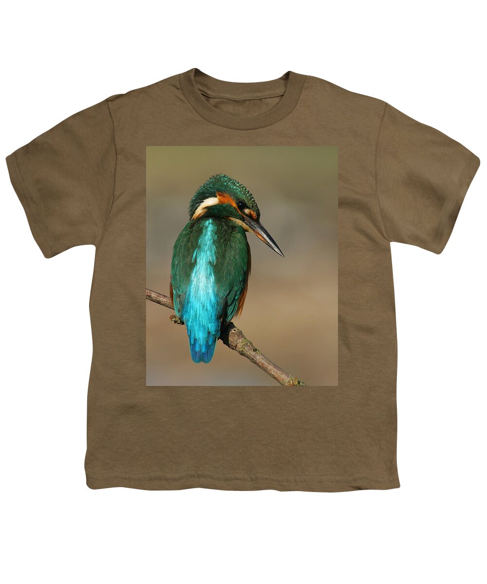 Kingfisher Youth T-Shirt featuring the photograph Kingfisher1 by Tony Mills