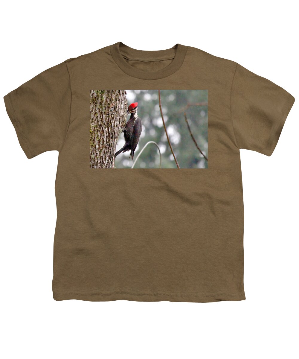 Nature Youth T-Shirt featuring the photograph Knock On Wood by Rory Siegel
