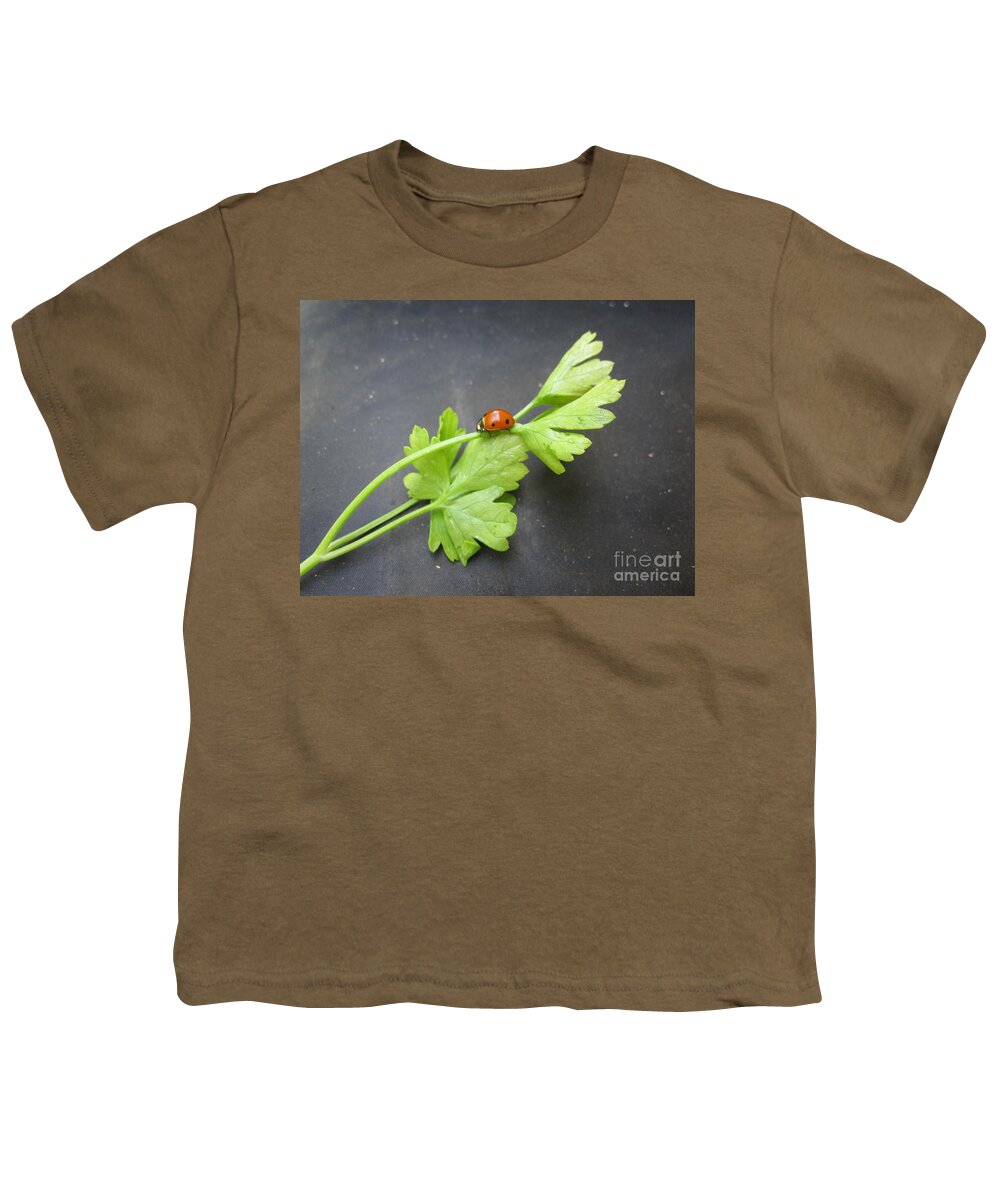 Ladybug Youth T-Shirt featuring the photograph Ladybug on a Parsley Stalk 2 by Tara Shalton