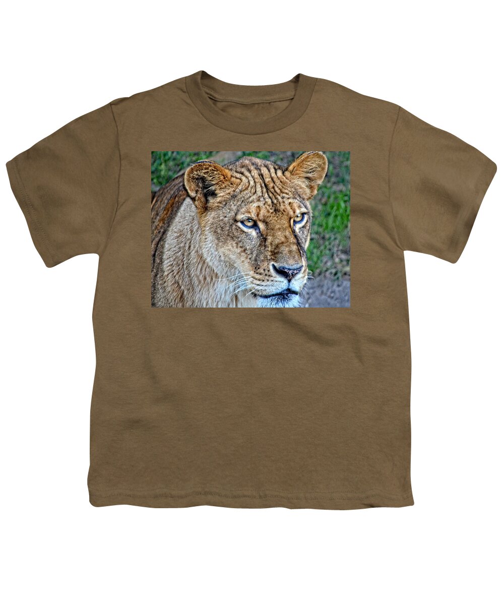 Lioness Youth T-Shirt featuring the photograph Lioness Deep in Thought HDR by Maggy Marsh