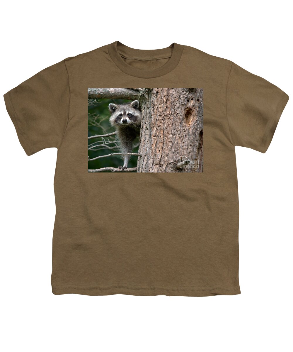 Raccoon Youth T-Shirt featuring the photograph Looking For Food by Cheryl Baxter