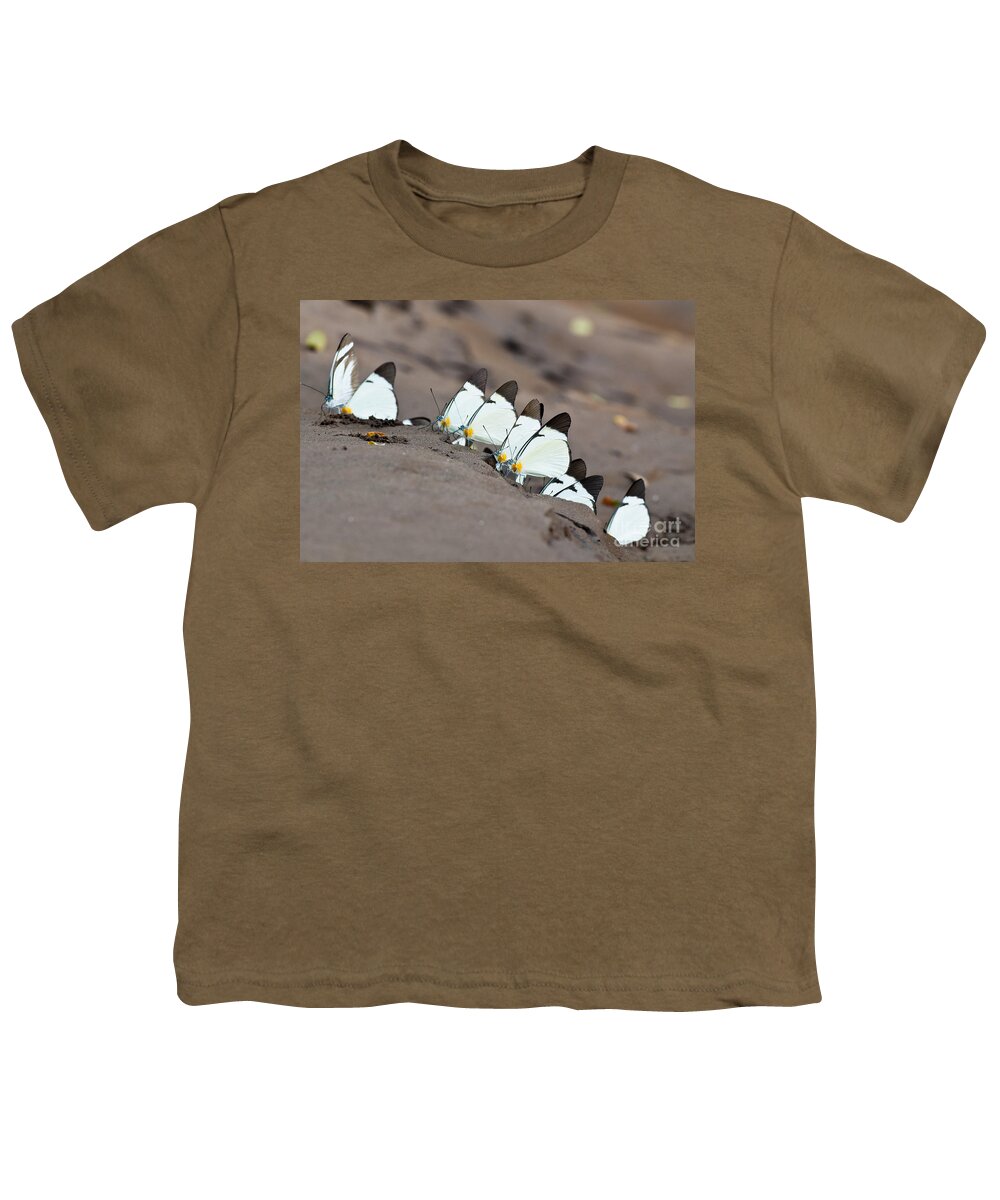 Lycimnia White Youth T-Shirt featuring the photograph Lycimnia White Butterflies by William H. Mullins