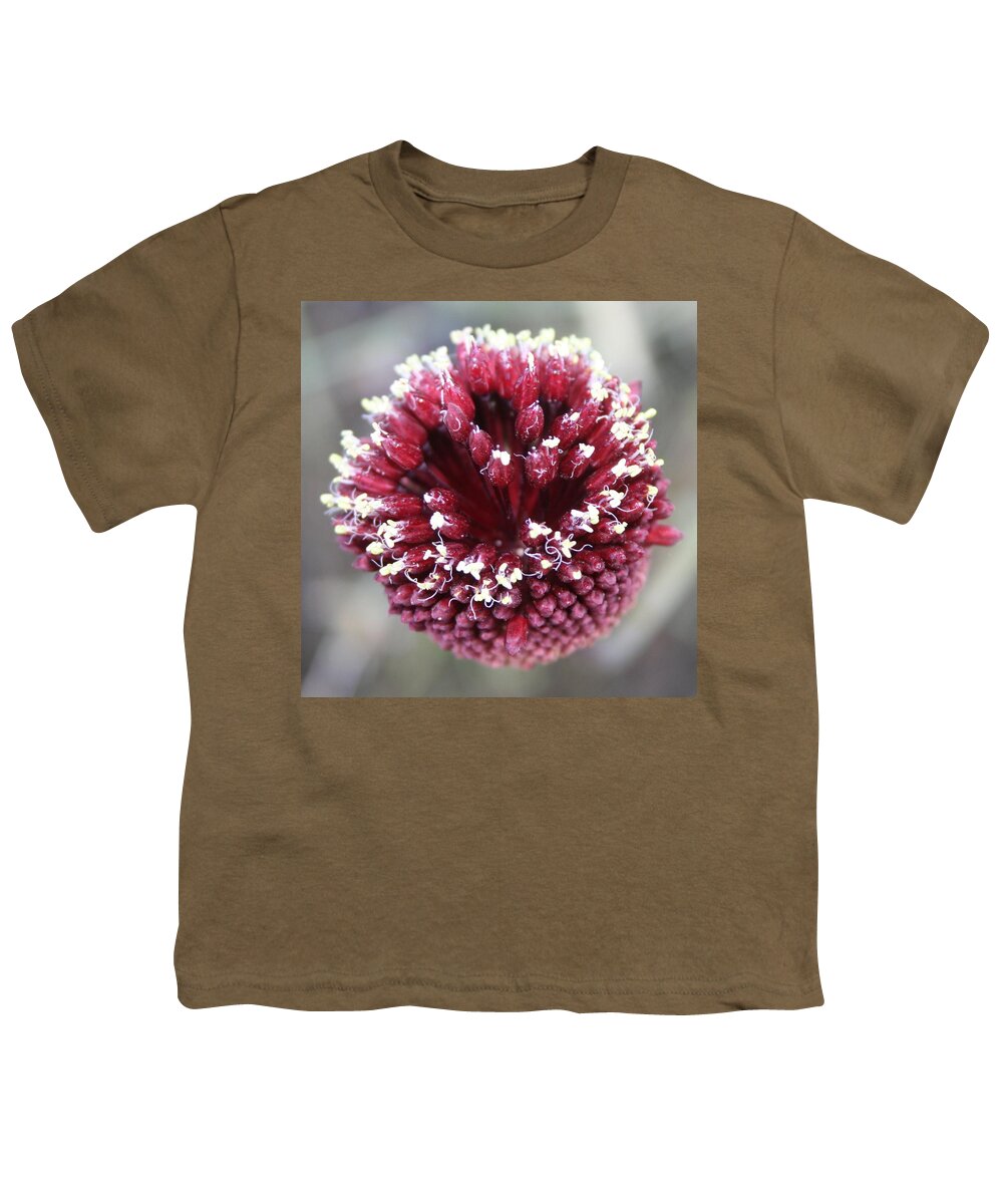 Allium Sphaerocephalon Youth T-Shirt featuring the photograph Macro of Round-Headed Leek Flower Allium Sphaerocephalon by Taiche Acrylic Art