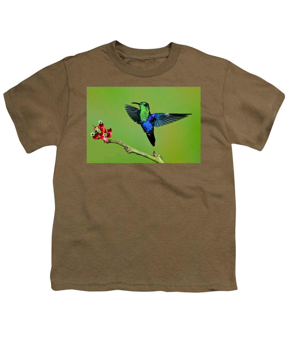 American Fauna Youth T-Shirt featuring the photograph Male Green-crowned Woodnymph by Anthony Mercieca