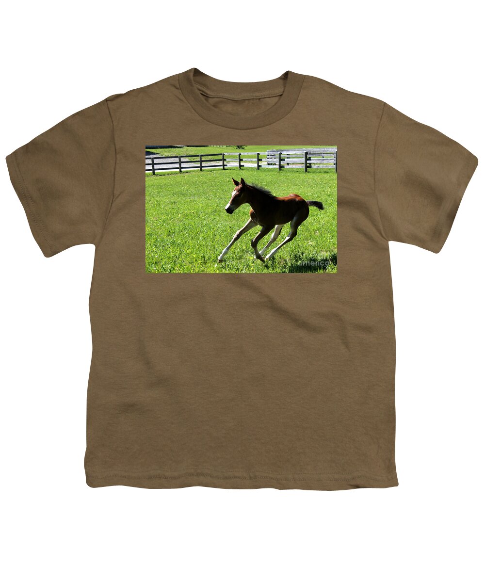 Foal Youth T-Shirt featuring the photograph Mare Foal56 by Janice Byer