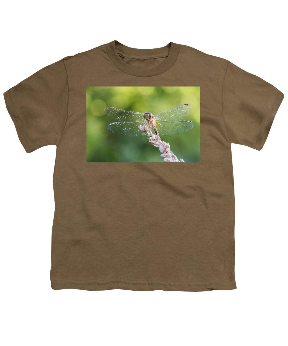 Background Youth T-Shirt featuring the photograph Morning Dragonfly by Mircea Costina Photography