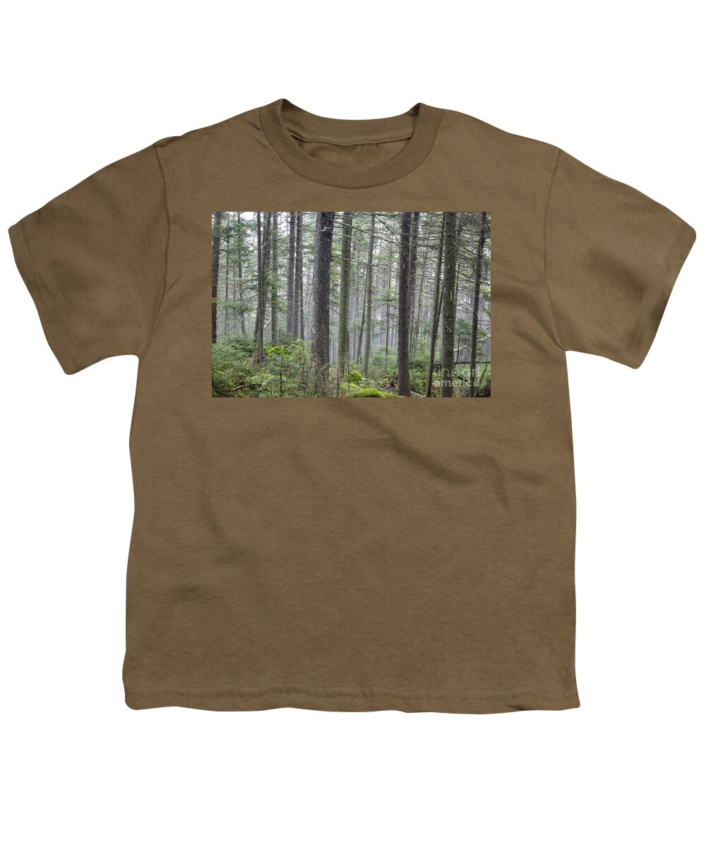 Ecosystem Youth T-Shirt featuring the photograph Mount Jim - Kinsman Notch New Hampshire by Erin Paul Donovan