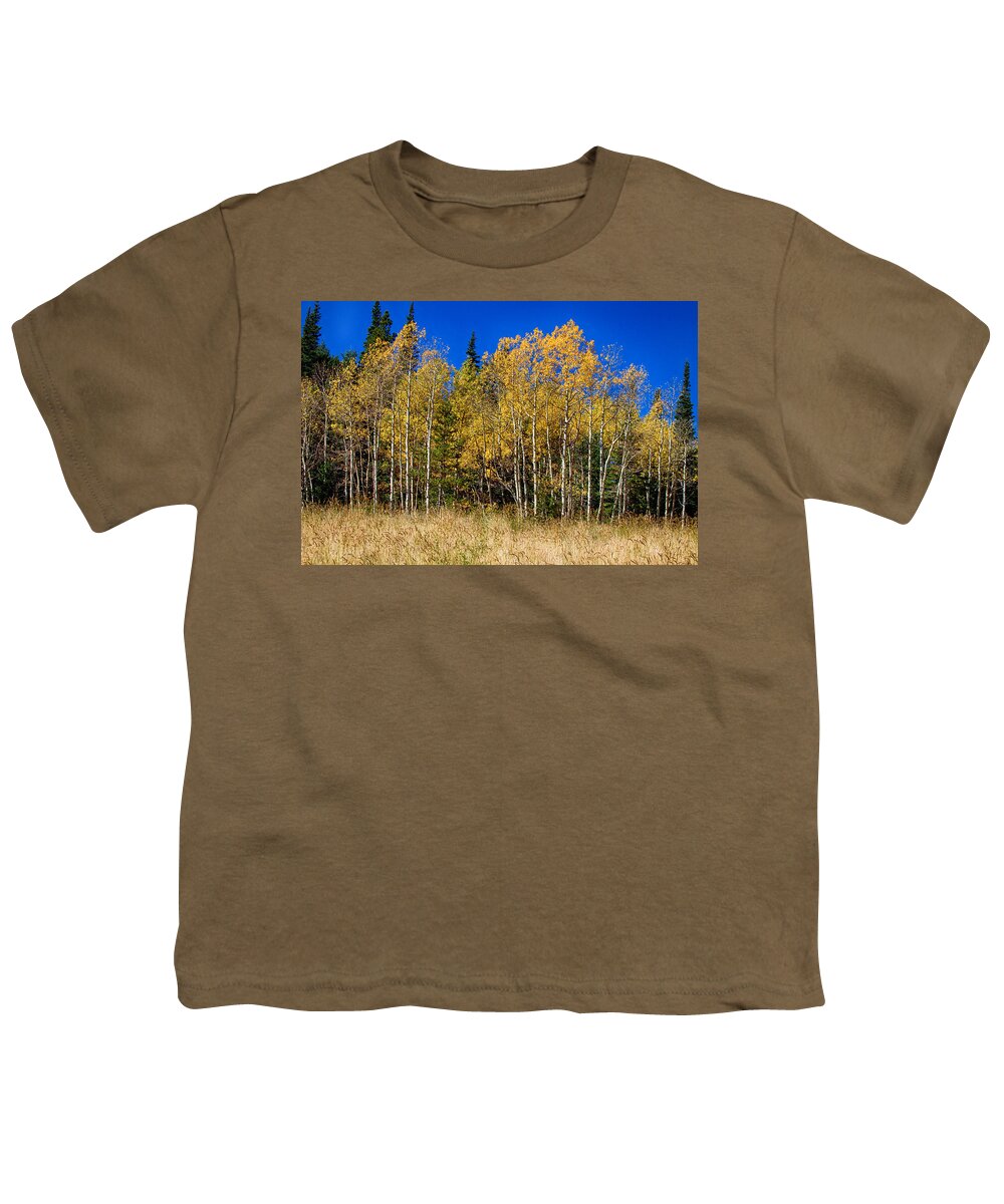 Autumn Youth T-Shirt featuring the photograph Mountain Grasses Autumn Aspens In Deep Blue Sky by James BO Insogna