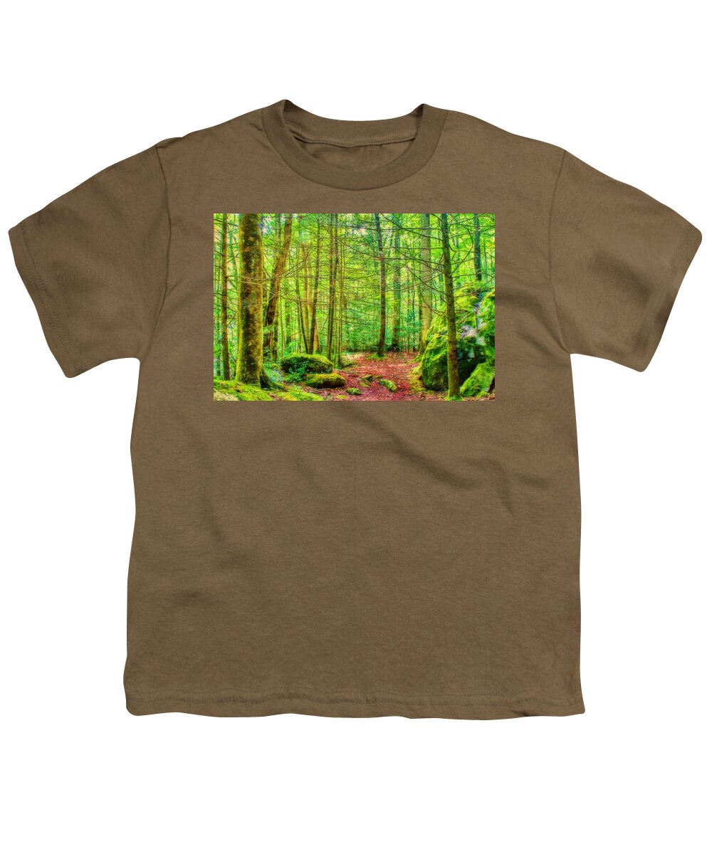 Mountain Green Youth T-Shirt featuring the photograph Mountain - Trail - Landscape - Mountain Green by Barry Jones
