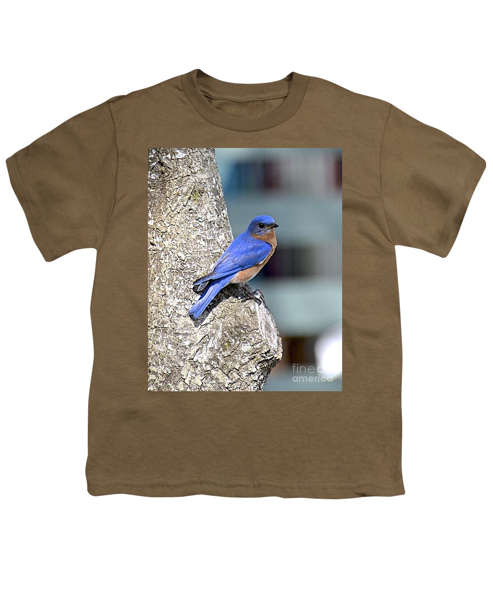 Bird Youth T-Shirt featuring the photograph Mr Bluebird by Carol Bradley