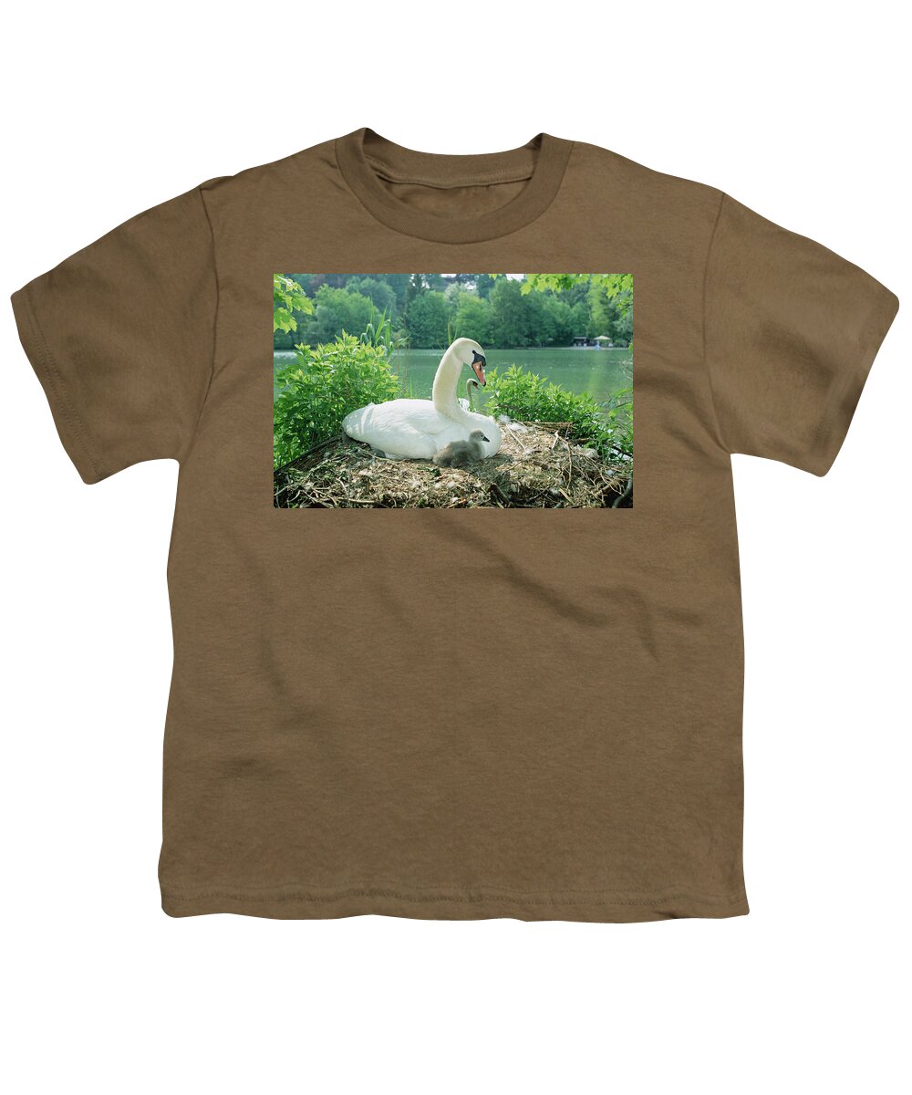Feb0514 Youth T-Shirt featuring the photograph Mute Swan Parent And Chicks On Nest by Konrad Wothe
