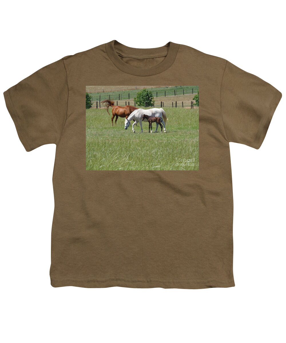 Newborn Foal Youth T-Shirt featuring the photograph Newborn Foal by Bev Conover