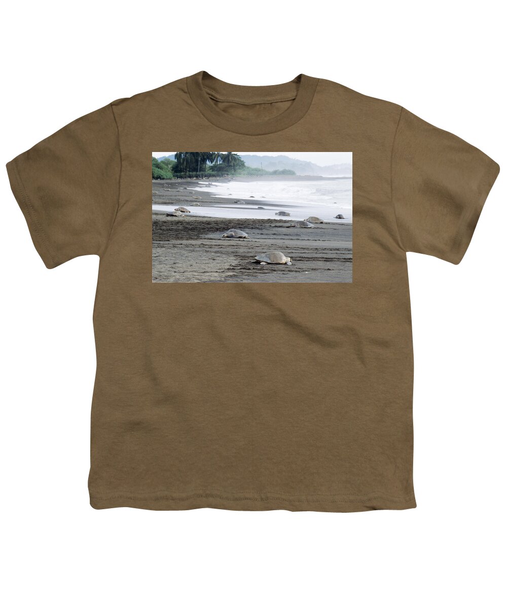 Pacific Ridley Youth T-Shirt featuring the photograph Olive Ridley Turtles by M. Watson