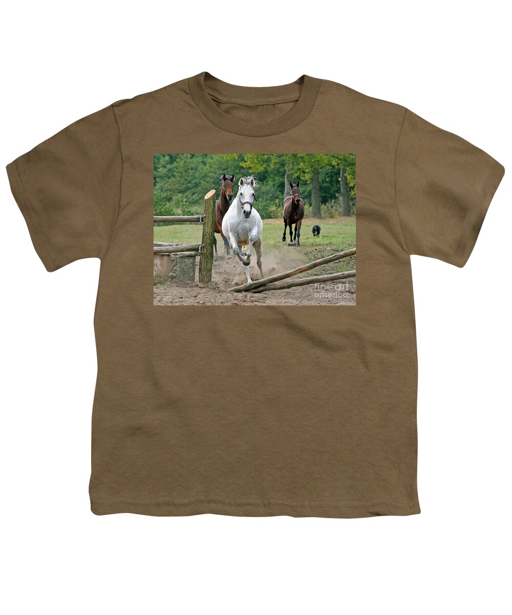 Horse Youth T-Shirt featuring the photograph Over The Fence by Ang El