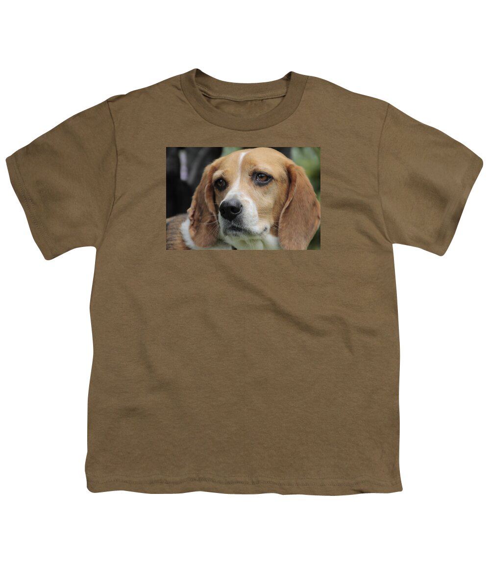 Beagle Youth T-Shirt featuring the photograph The Beagle named Penny by Valerie Collins