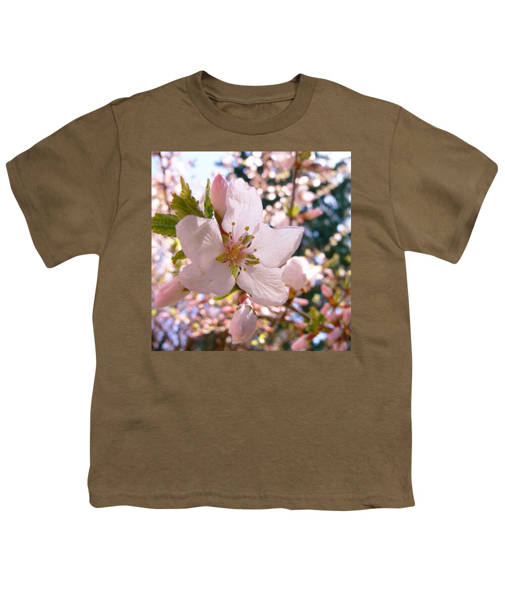 Pin Cherry Blooms Youth T-Shirt featuring the photograph Pin Cherry Blooms by Barbara St Jean