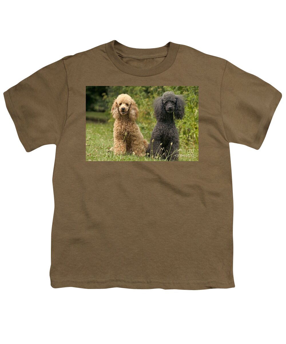 Poodle Youth T-Shirt featuring the photograph Poodle Dogs by Jean-Michel Labat