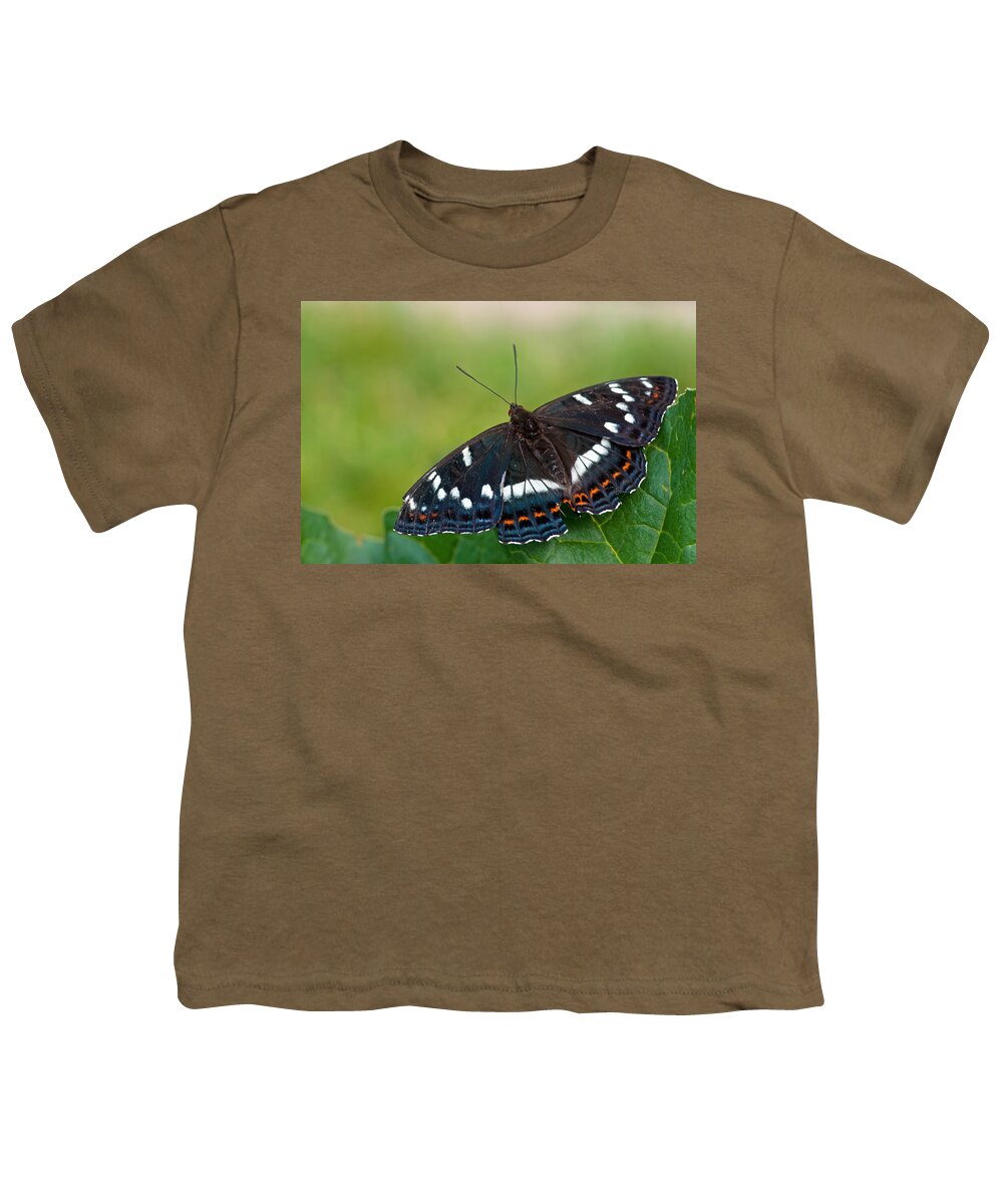 Poplar Admiral Butterfly Youth T-Shirt featuring the photograph Poplar Admiral by Torbjorn Swenelius