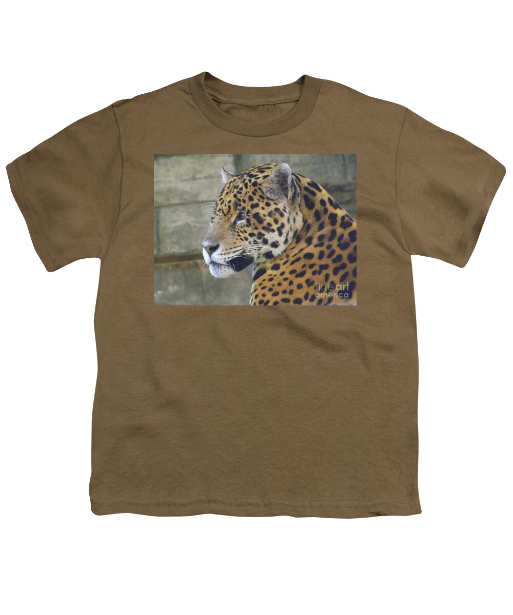 jaguar shirts sale
