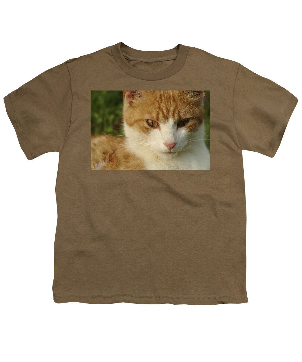 Amber Youth T-Shirt featuring the photograph Portrait of a stern looking cat by Ulrich Kunst And Bettina Scheidulin
