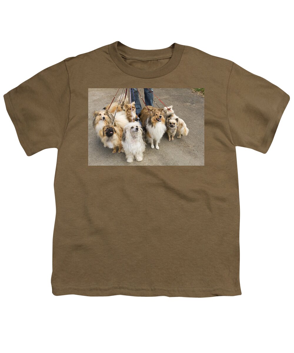 Professional Dog Walker Youth T-Shirt featuring the photograph Professional Dog Walker by Jean-Michel Labat