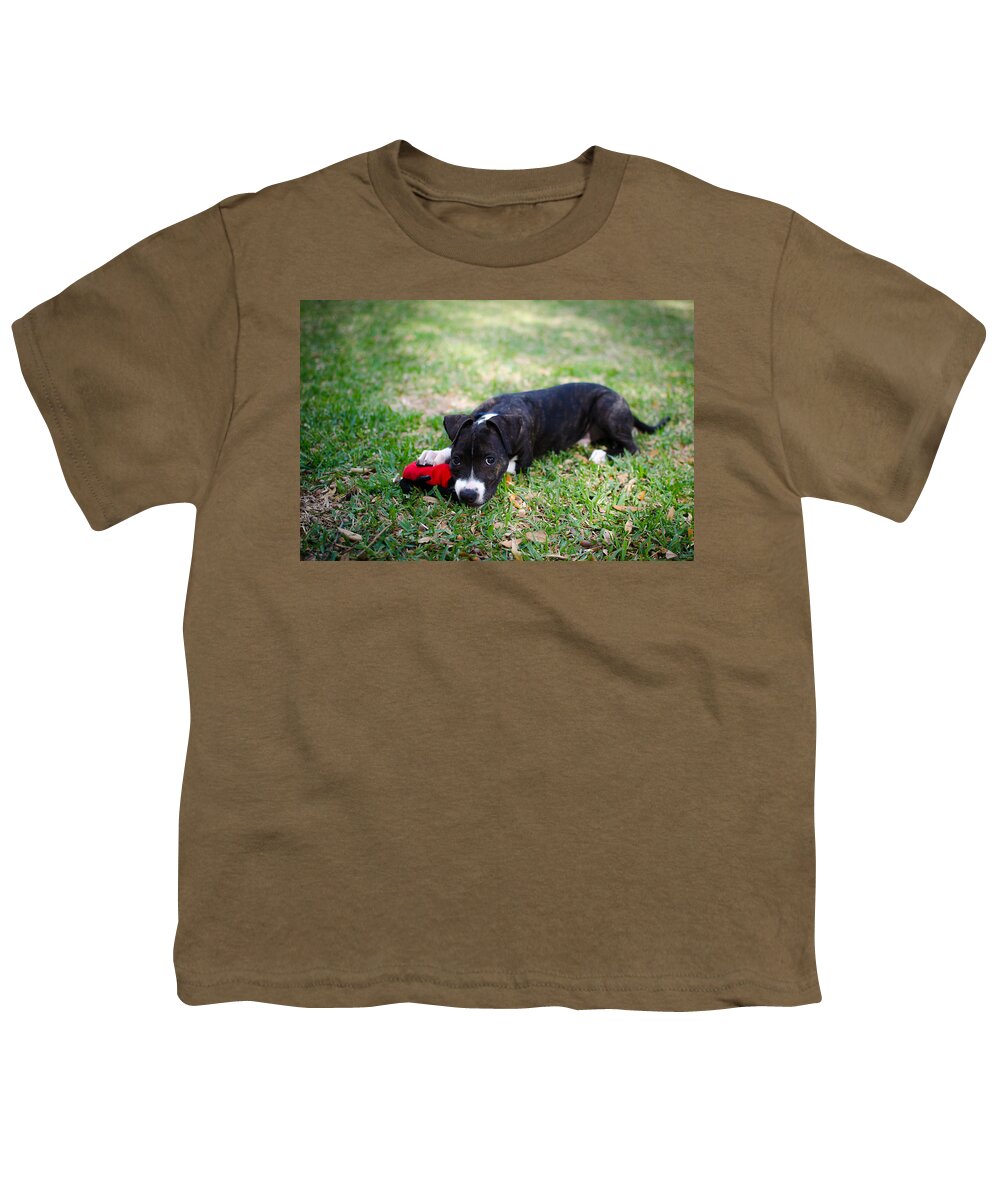 Puppy Youth T-Shirt featuring the photograph Puppy Eyes by David Morefield
