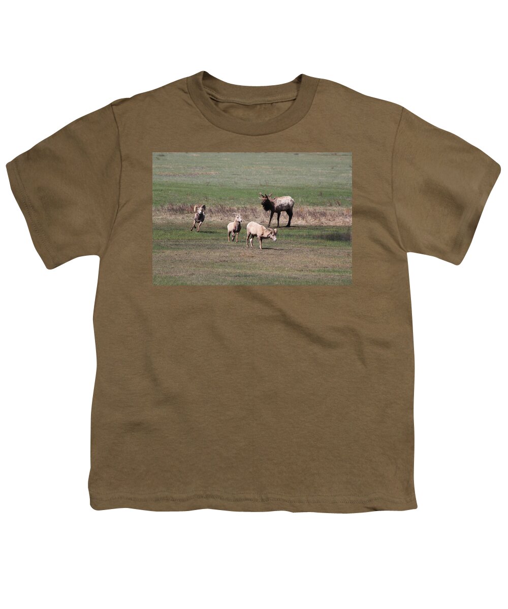 Elk Youth T-Shirt featuring the photograph Rare Encounter by Shane Bechler