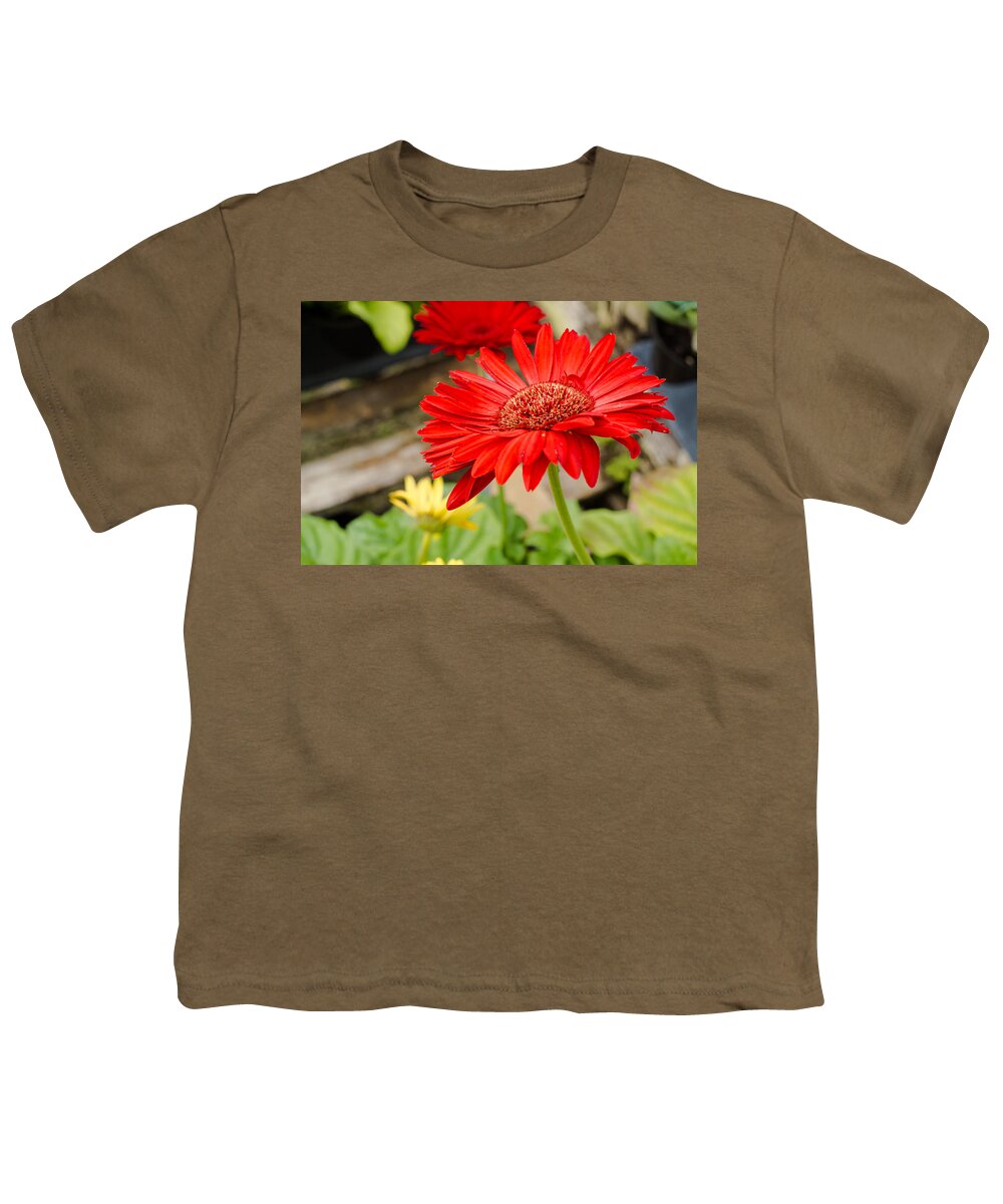 Gerbera Daisy Youth T-Shirt featuring the photograph Red Daisy by Raul Rodriguez