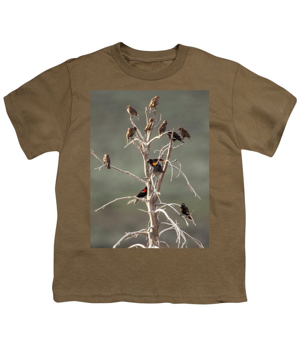 Bird Youth T-Shirt featuring the photograph Red Wing Gathering by Kevin Dietrich