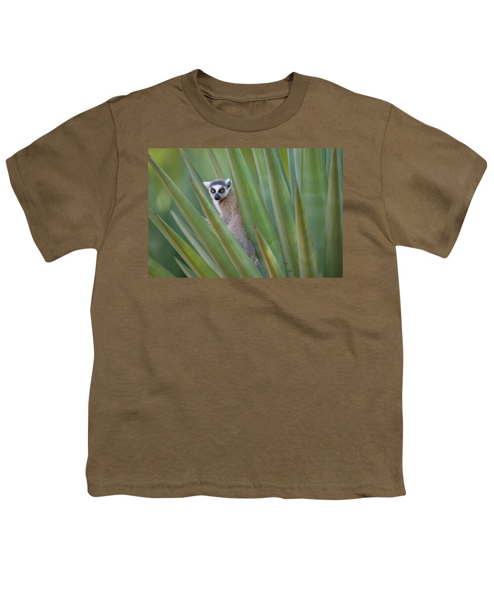 00621082 Youth T-Shirt featuring the photograph Ring Tailed Lemur Peeking by Cyril Ruoso