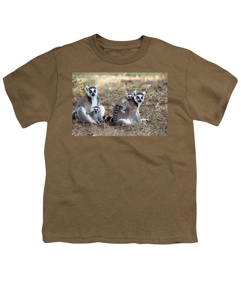 Feb0514 Youth T-Shirt featuring the photograph Ring Tailed Lemur With Young Madagascar by Konrad Wothe