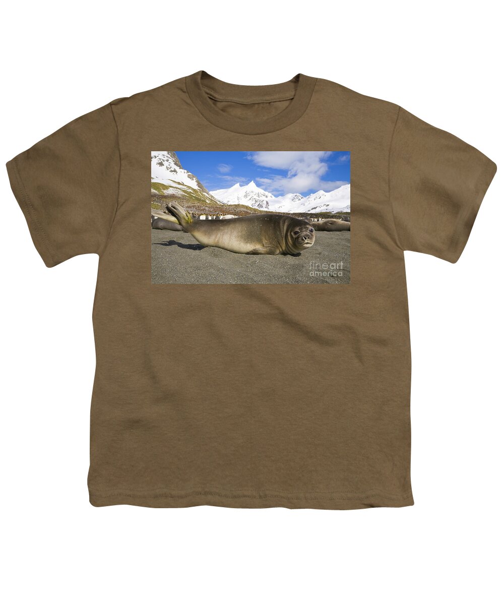 00346000 Youth T-Shirt featuring the photograph Southern Elephant Seal Pup by Yva Momatiuk John Eastcott