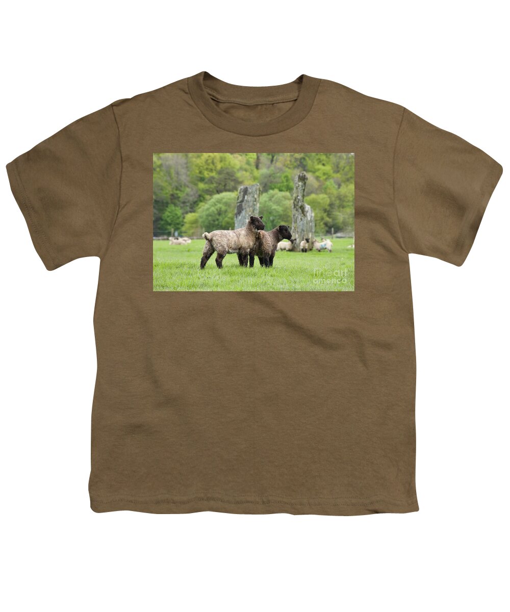 Neolithic Youth T-Shirt featuring the photograph Scottish Sheep by Juli Scalzi