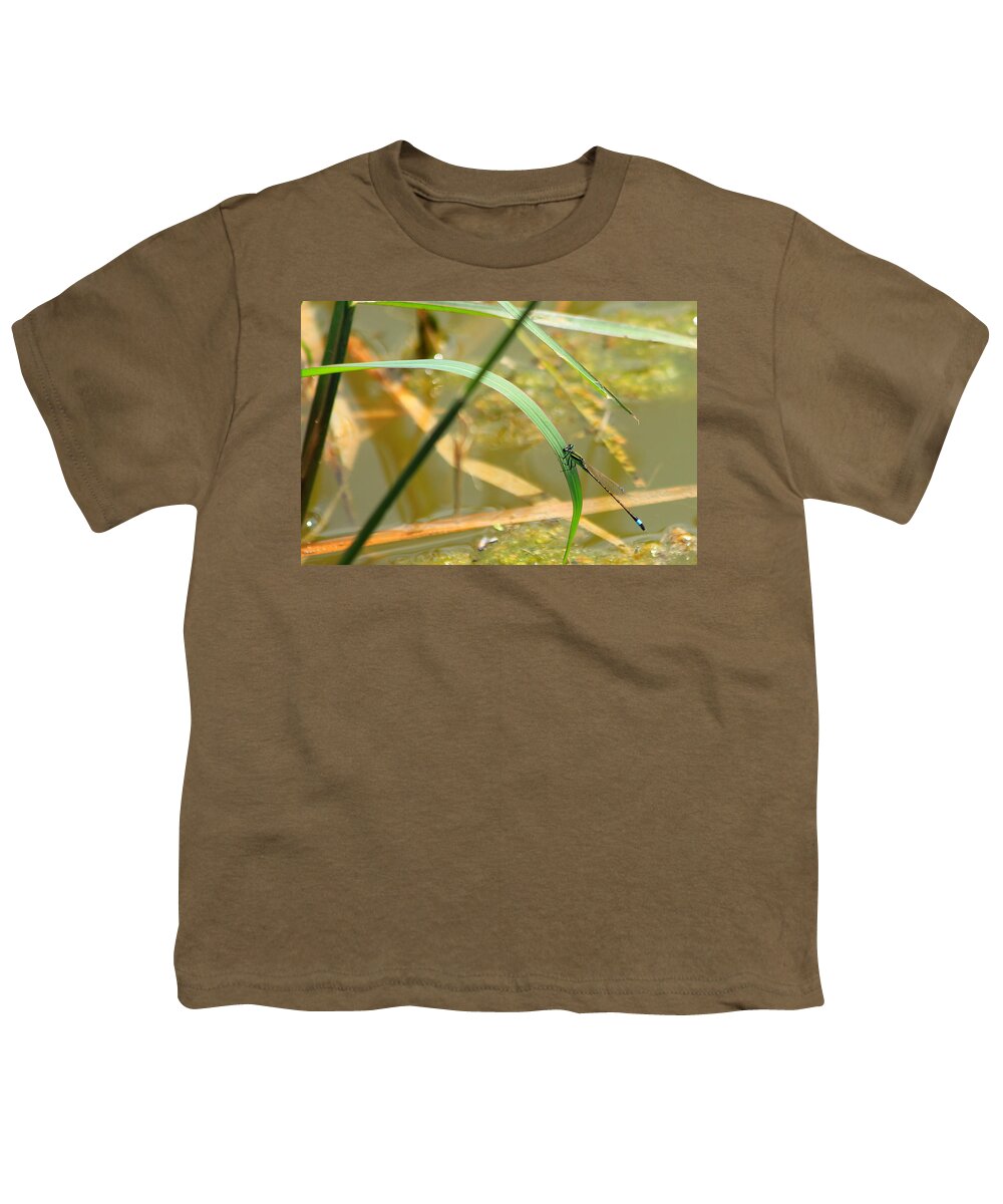 Dragon Youth T-Shirt featuring the photograph Sitting Pretty by Reid Callaway