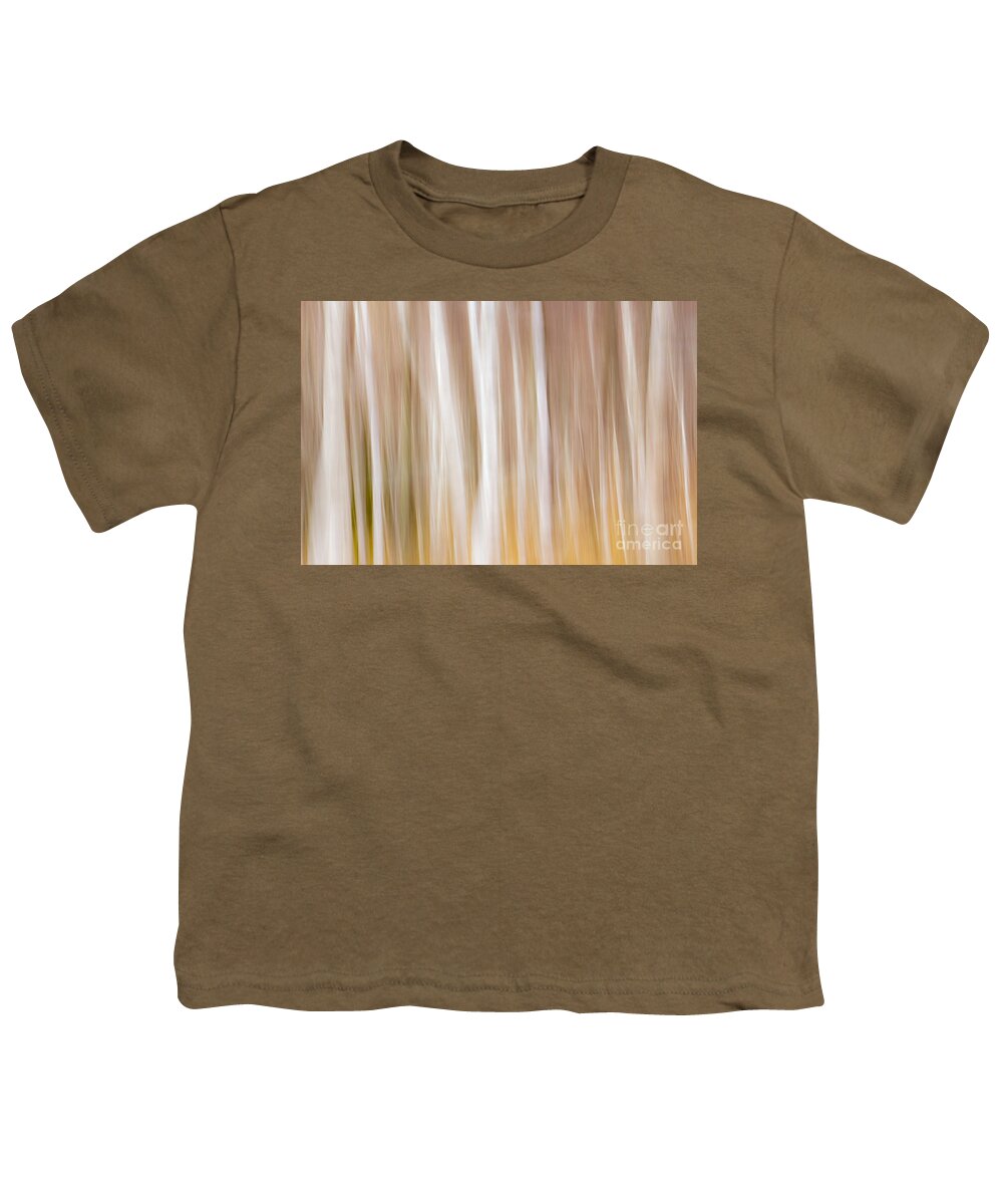 Maine Youth T-Shirt featuring the photograph Spring Colors by Karin Pinkham