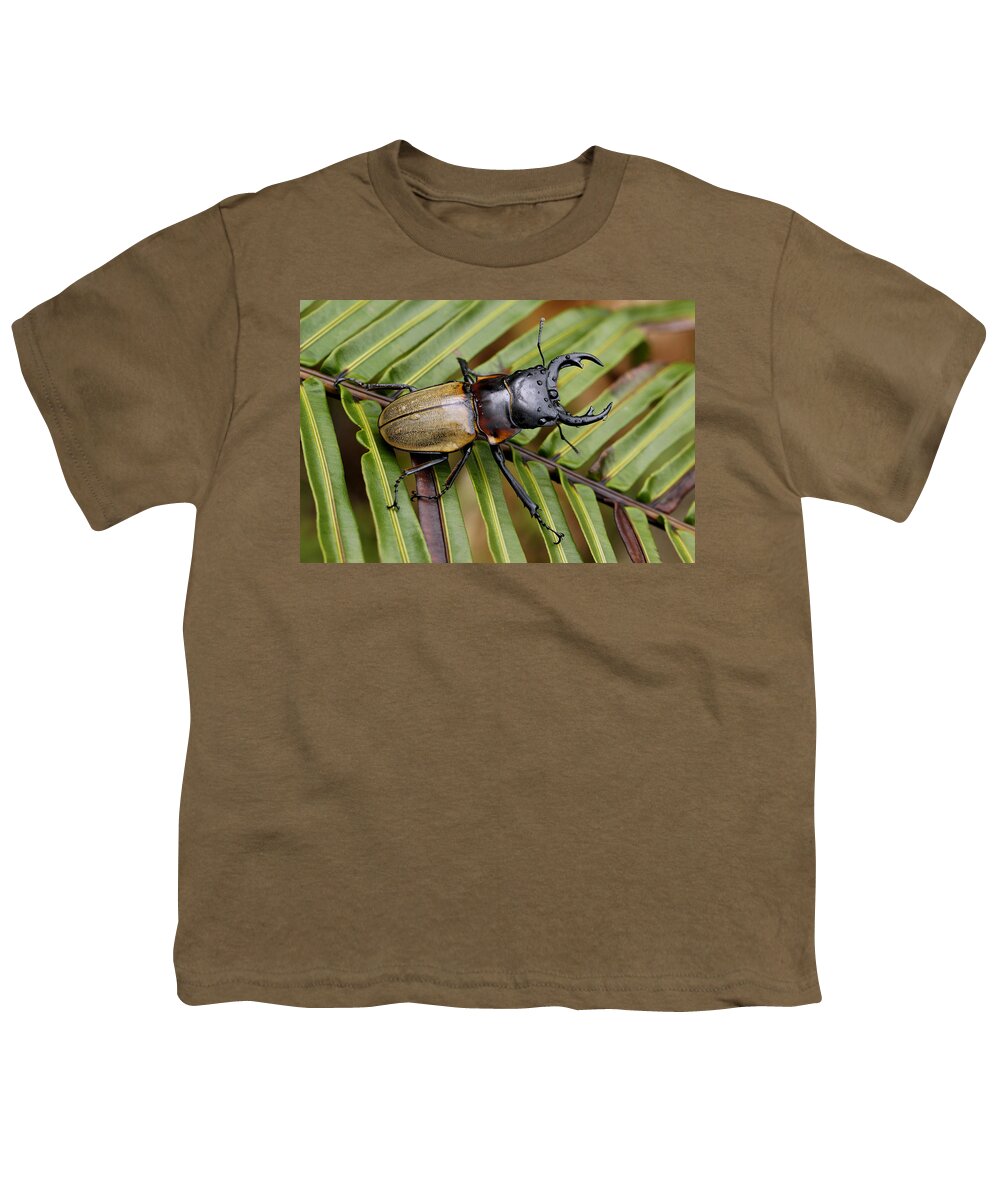 Feb0514 Youth T-Shirt featuring the photograph Stag Beetle Malaysia by Hiroya Minakuchi