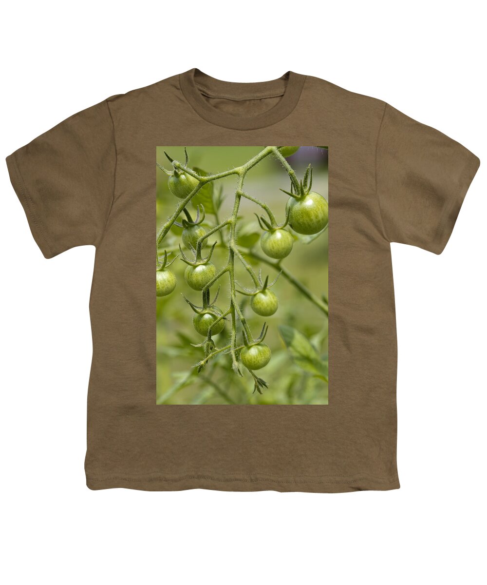 Green Youth T-Shirt featuring the photograph Still Green by Kathy Clark