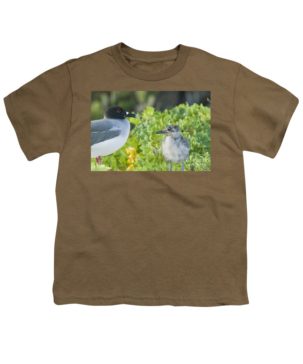 Swallow-tailed Gull Youth T-Shirt featuring the photograph Swallow-tailed Gull Chick And Adult by William H. Mullins