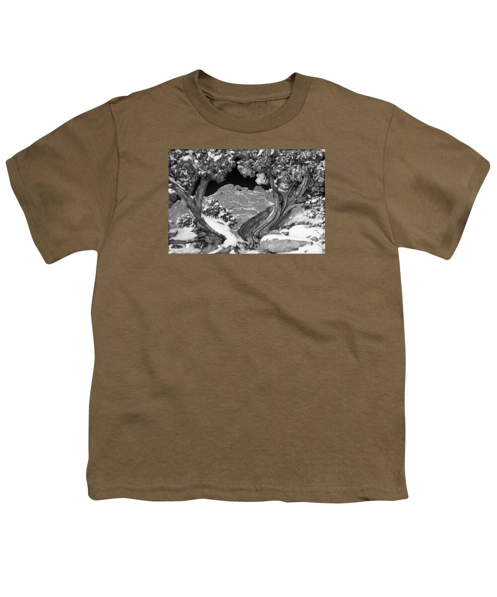 The Kissing Camels Rock Formation Youth T-Shirt featuring the photograph The Kissing Camels Framed By An Ancient Juniper by Bijan Pirnia